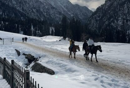 Best Time to Visit Kashmir for Snowfall