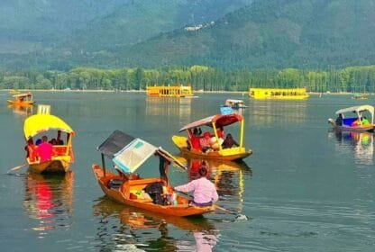 shikara ride in Dal Lake