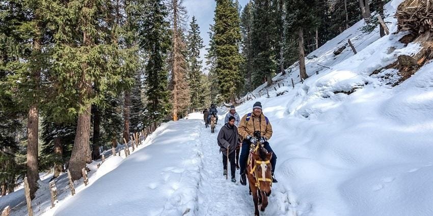 winter activities in Kashmir