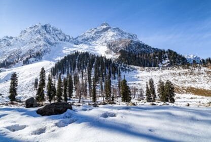 best Kashmir tour packages for snow lovers