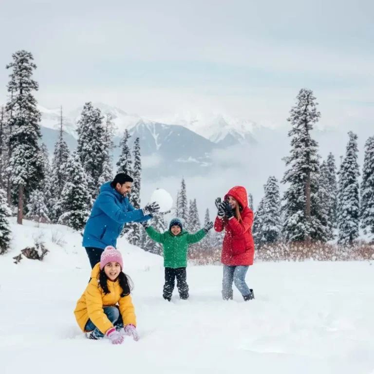 How to Plan a Kashmir Winter Trip with Family This Winter