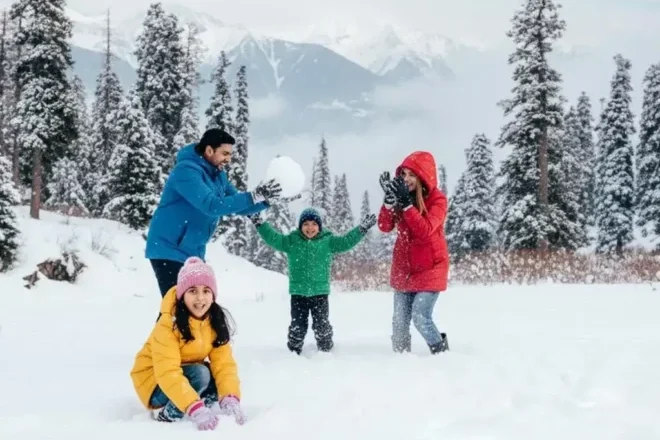 Kashmir winter trip with family