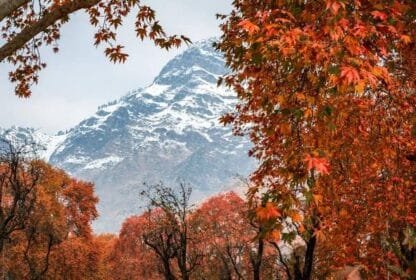 places to visit in Kashmir during autumn