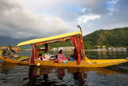 Shikara Rides brown chinar kashmir