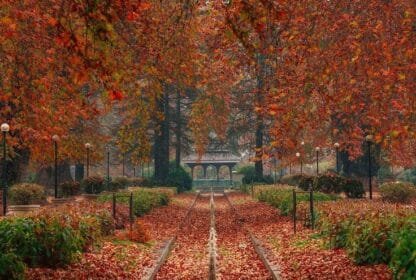 best places to visit in Kashmir in October