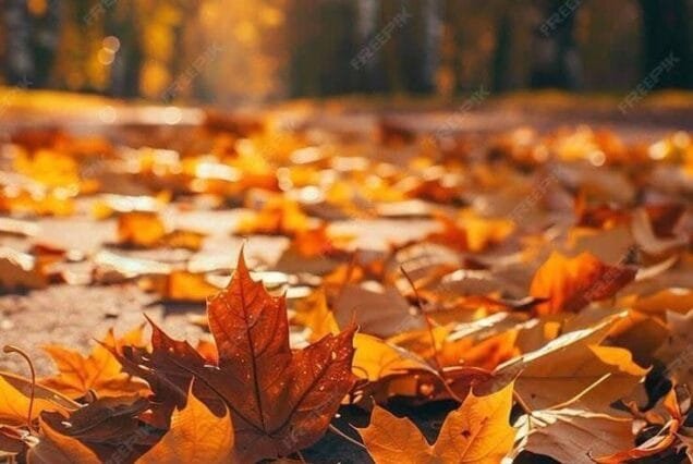 Kashmir Autumn Tour Package