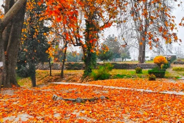 Kashmir Autumn Tour Package