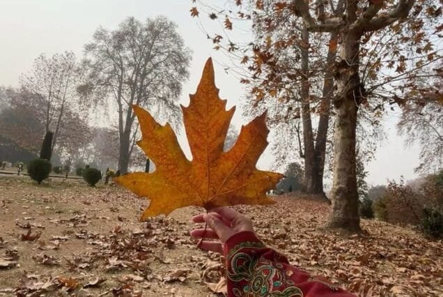 Kashmir Autumn Tour Package