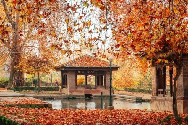 Kashmir Autumn Tour Package