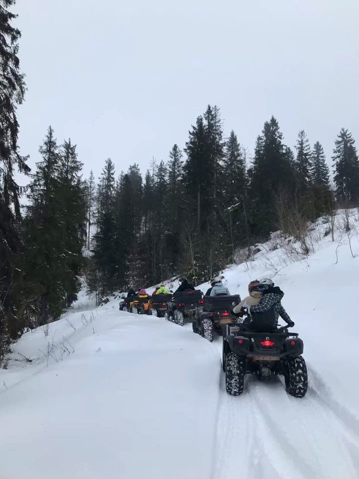 Kashmir winter trip with family