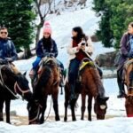 Things to Do in Kashmir with Kids