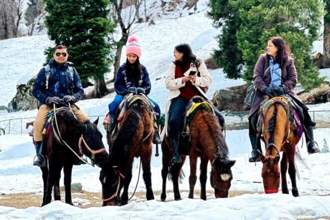 Things to Do in Kashmir with Kids