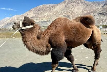 Ladakh