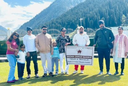 Brown Chinar Kashmir Tour and Travels