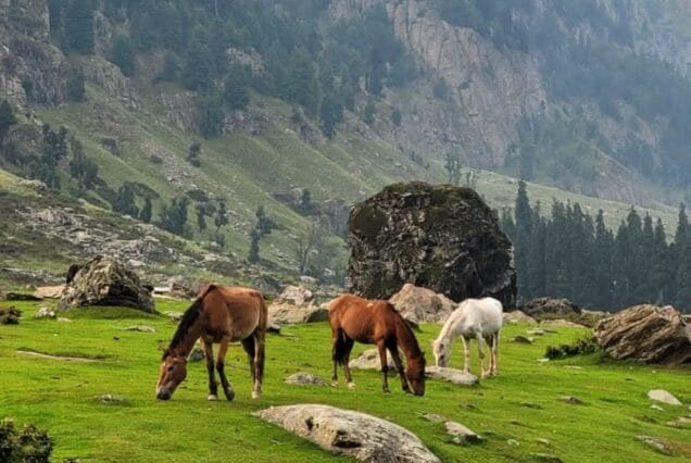 Kashmir Tour Packages From Kerala