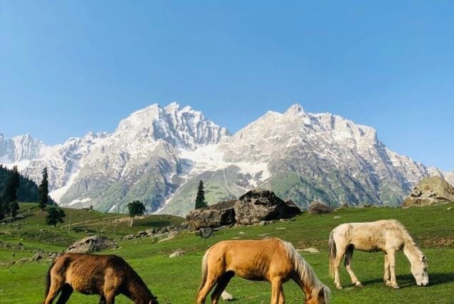 Kashmir Tour Package from Delhi