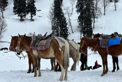 winter Kashmir trip cost