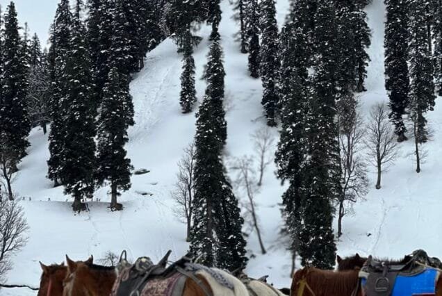 Kashmir Tour Packages From Chandigarh