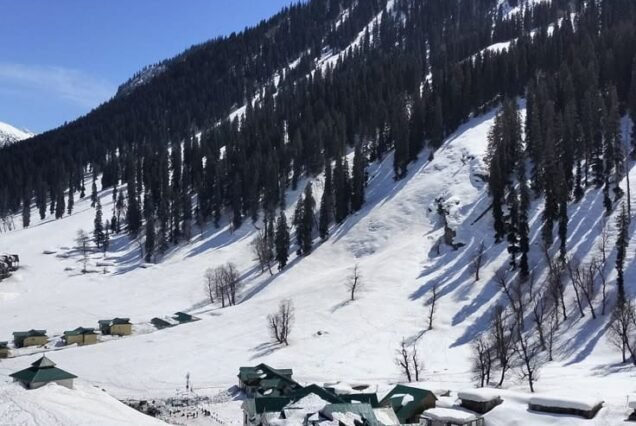 Kashmir Couple Tour Package 7 Night 8 Days