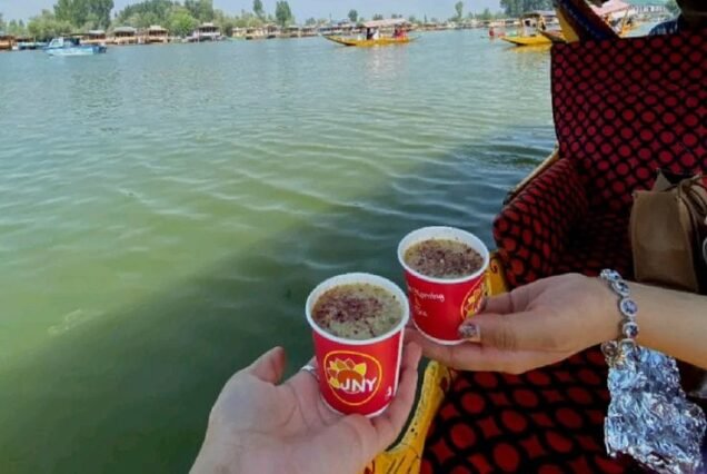 Kashmir Couple Tour Package 7 Night 8 Days