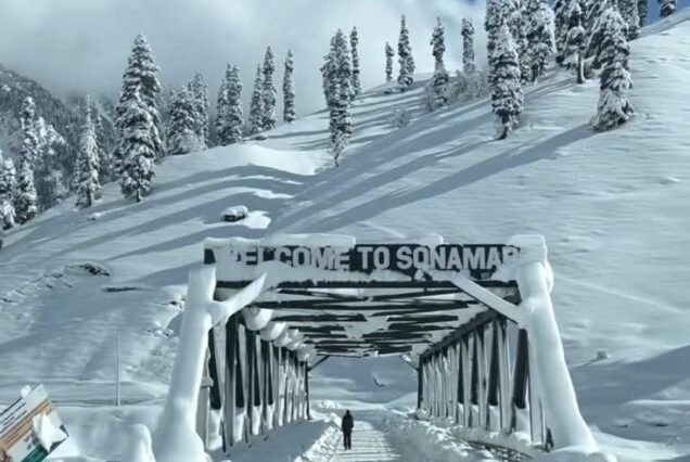 Kashmir Family Tour Package 7 Night 8 Days