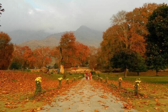Kashmir Autumn Tour Package 6 Night 7 Days