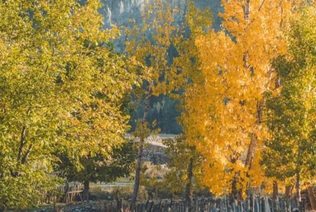 Kashmir Autumn Tour Package 6 Night 7 Days
