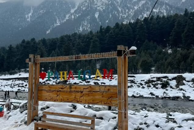 Kashmir Group Tour Package 3 Night 4 Days