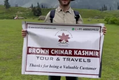 Brown Chinar Kashmir Tour and Travels