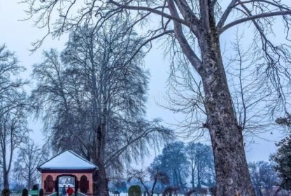 Places to visit in Srinagar in winter
