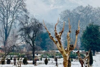Places to visit in Srinagar in winter