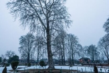 Places to visit in Srinagar in winter
