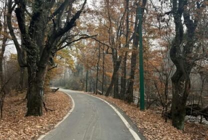 Places to visit in Srinagar in winter