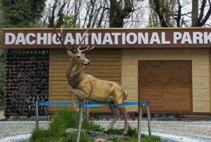 Places to visit in Srinagar in winter