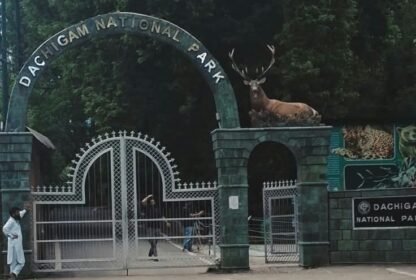 Places to visit in Srinagar in winter