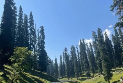 Hidden costs of a Kashmir trip