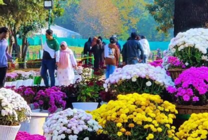 Bagh-e-Gul-e-Dawood Srinagar
