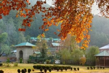 Bagh-e-Gul-e-Dawood Srinagar