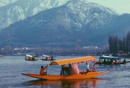 Bagh-e-Gul-e-Dawood Srinagar