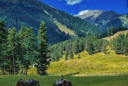 Bagh-e-Gul-e-Dawood Srinagar
