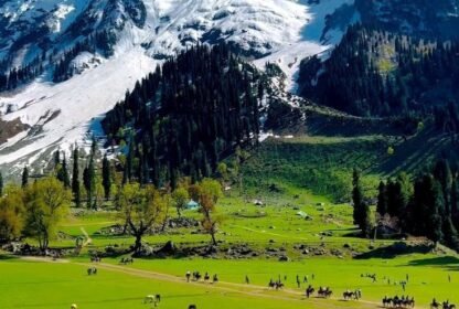 Bagh-e-Gul-e-Dawood Srinagar