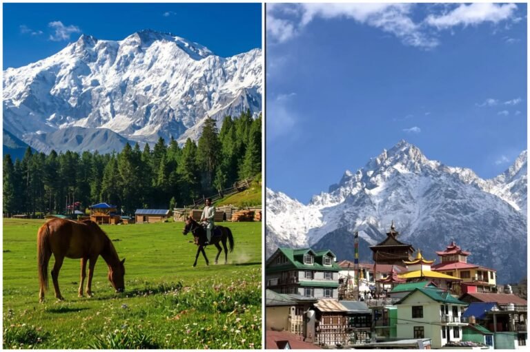 Kashmir vs. Himachal for a Family Vacation: Which Is Better for Your Trip?