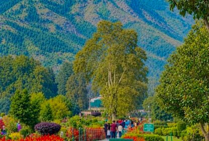 Kashmir vs Himachal for family vacation