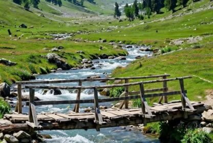 Kashmir vs Himachal for family vacation