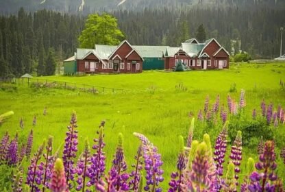 Kashmir vs Himachal for family vacation
