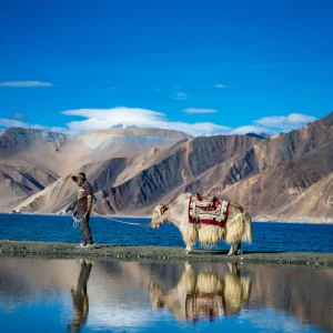 Srinagar to Ladakh taxi service