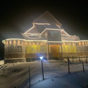 Gulmarg Ski Resort_ Brown chinar