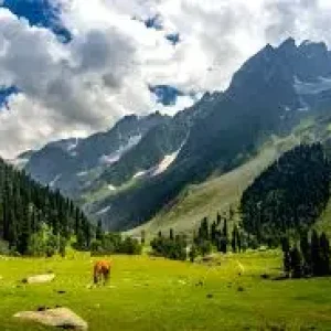 How to Plan Bangus Valley Trip: Complete Guide, Itinerary & Travel Tips