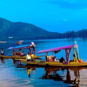 Activities on Srinagar Houseboats brown chinar kashmir 1