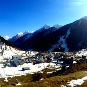 Aru Valley brown chinar kashmir